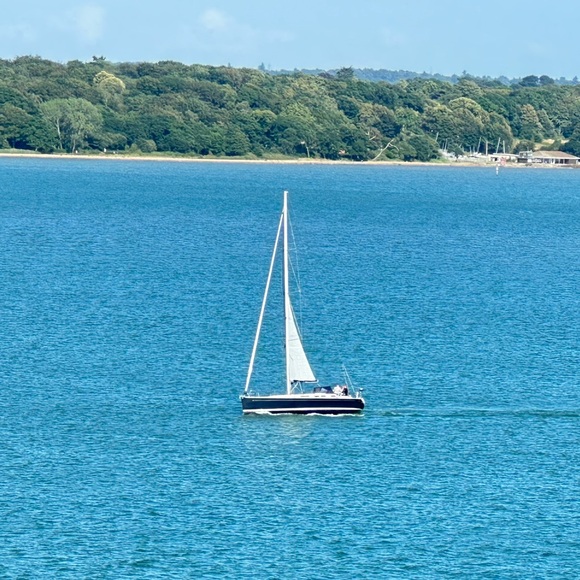 Meet your Posher, Kitty - Picture 8 of 12